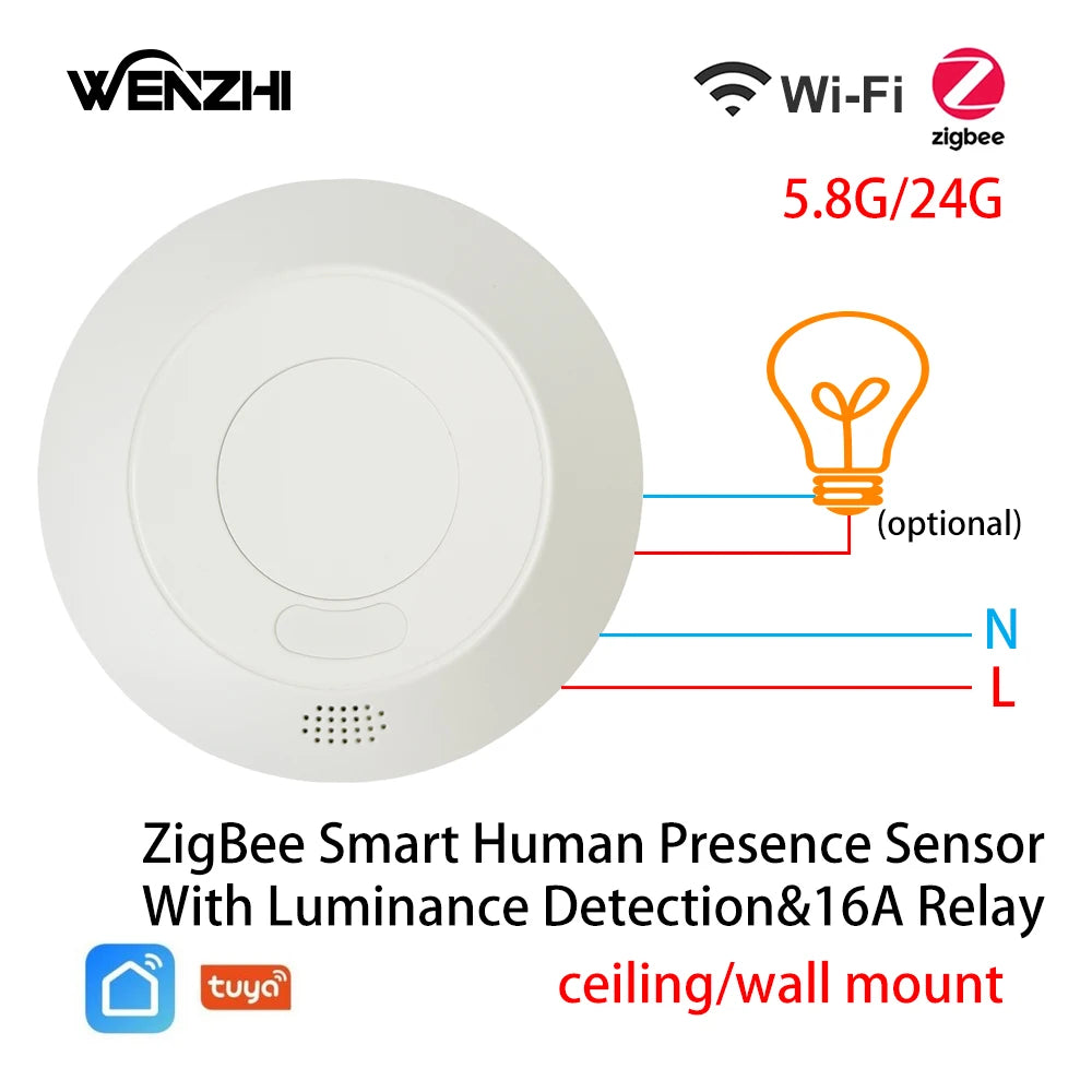 ZigBee/WiFi MmWave  Motion Sensor