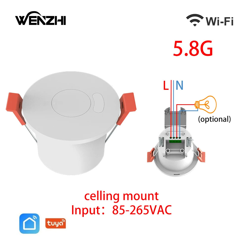 ZigBee/WiFi MmWave  Motion Sensor