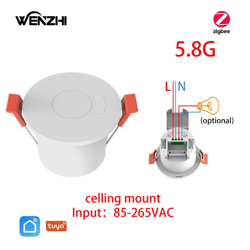 ZigBee/WiFi MmWave  Motion Sensor